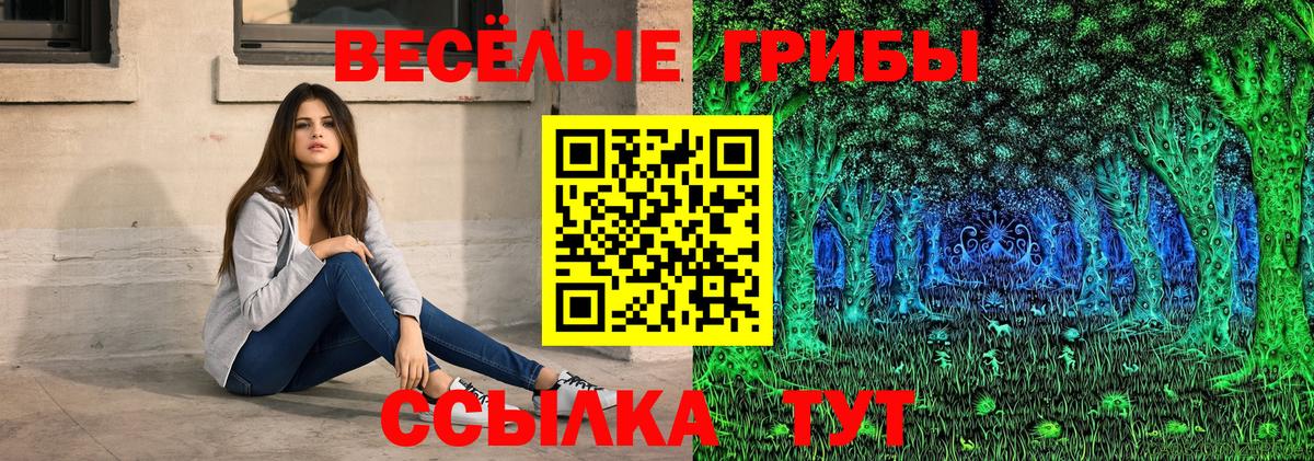 Галлюциногенные грибы Psilocybine cubensis  Вход с VPN  Старая Купавна 